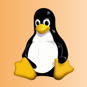 What is Linux ? Linux operating system