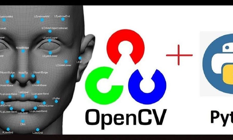 How to Install and Use OpenCV for Image Processing