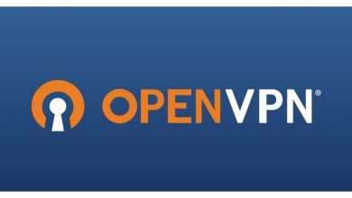 How to Install and Use OpenVPN for Secure Connections