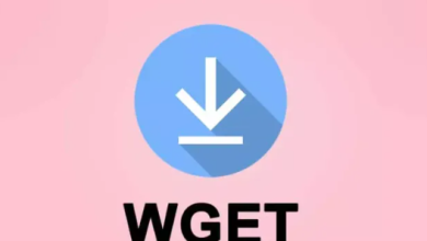 How to Install and Use Wget on Linux