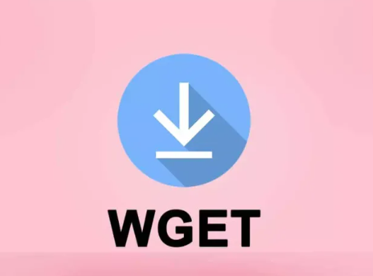 How to Install and Use Wget on Linux