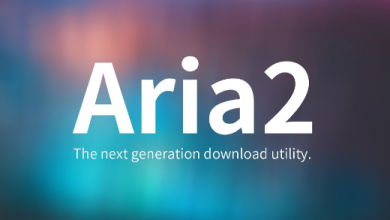 How to Install and use aria2c on Linux