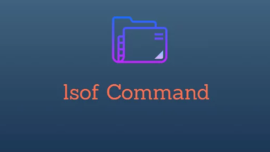 How to Use lsof for Open Files Listing