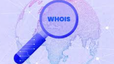 How to Use whois for Domain Information Lookup